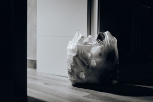 Giornata mondiale senza sacchetti di plastica